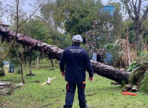 sul,-sudeste-e-centro-oeste-tem-alerta-para-tempestades-e-vendavais