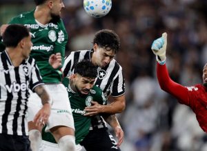 botafogo-segura-palmeiras-e-ajuda-flamengo,-novo-lider-do-brasileirao