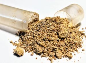 ashwagandha:-anvisa-alerta-que-suplemento-do-tiktok-nao-tem-registro
